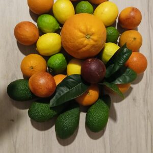 Caja Degustación El Rovellet - Caja de 15kg de Cítricos y Frutas de Temporada