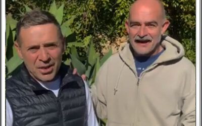 ¿Cómo preparamos tu pedido de Naranjas Ecológicas de nuestro huerto?