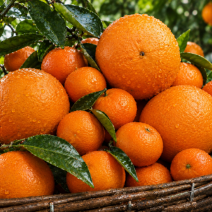 Caja de 10kg de Mezcla con Mandarinas (5Kg) y Naranjas Navelina Mesa (5Kg) Ecológicas